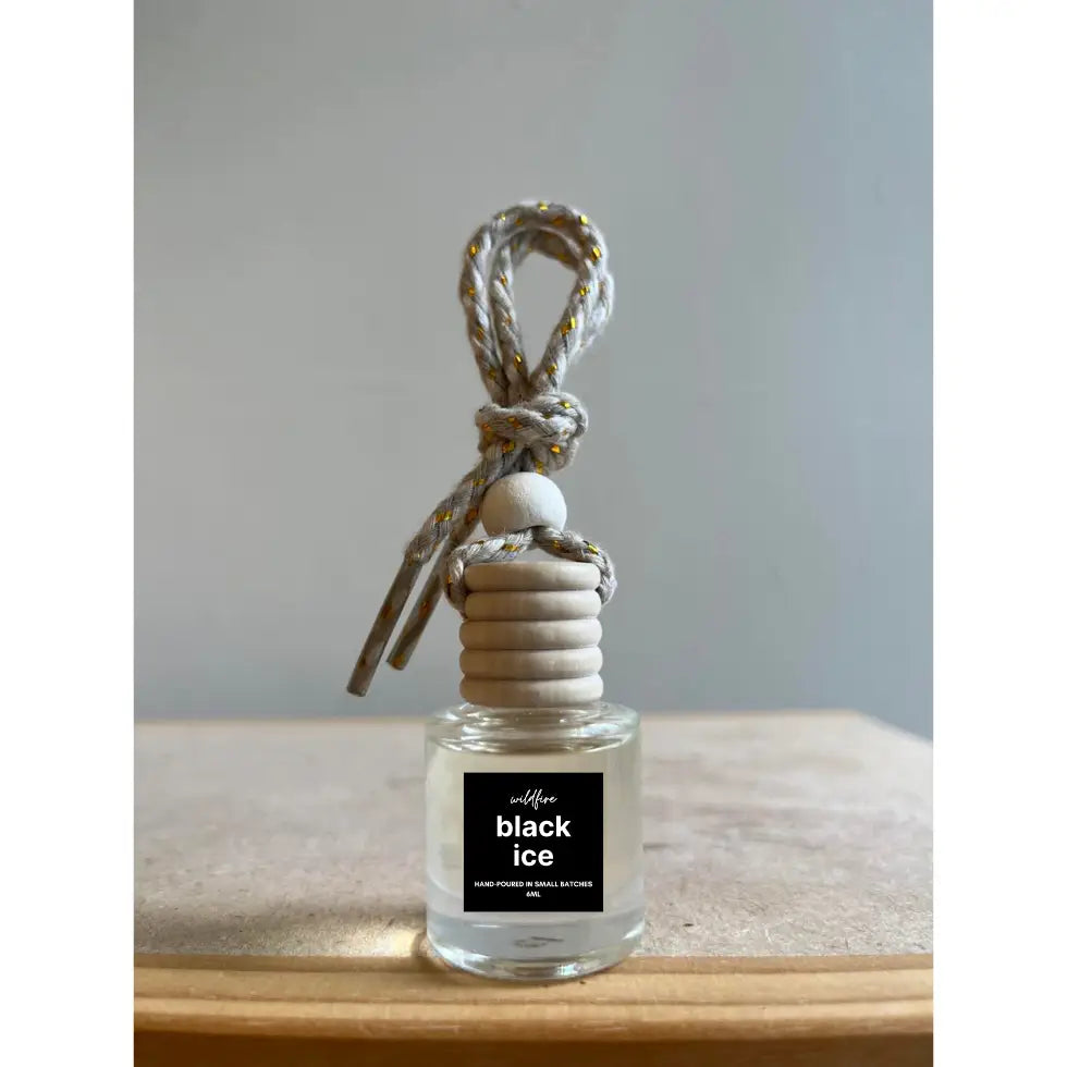 Hanging Car Air Freshener