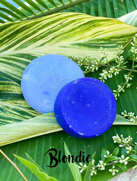 Dirty Bee Shampoo/Conditioner Bar Set with Cases