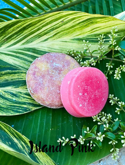 Dirty Bee Shampoo/Conditioner Bar Set with Cases