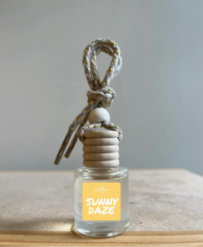 Hanging Car Air Freshener