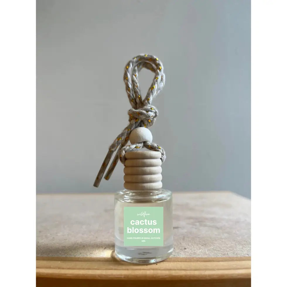 Hanging Car Air Freshener